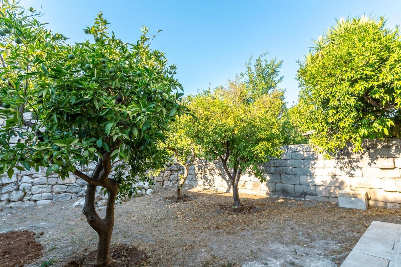La Costantina Casa Vacanze Casamassella Exterior photo